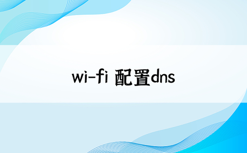 wi-fi 配置dns
