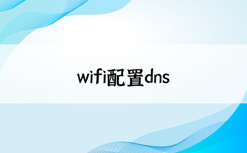 wifi配置dns