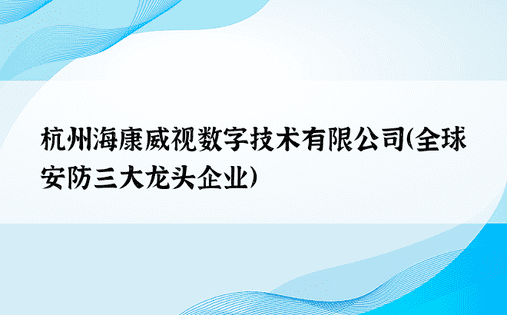 杭州海康威视数字技术有限公司（全球安防三大龙头企业）