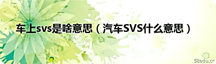 车内svs是什么意思（车内SVS是什么意思）