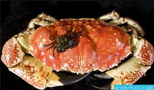 世界上最重的螃蟹，塔斯马尼亚帝王蟹重达45公斤